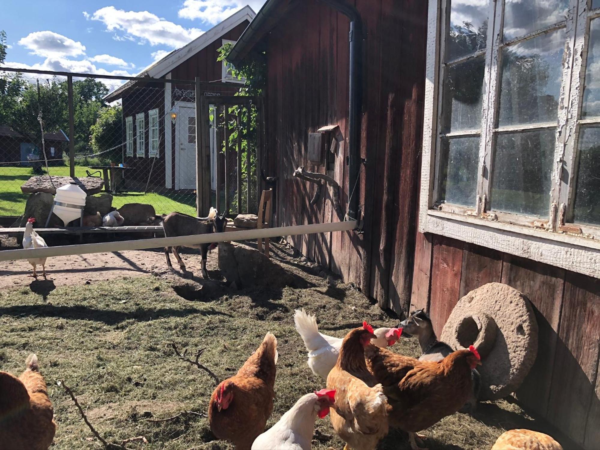 Aeventyrsgardens Vandrarhem, Kinnekulle Källby Exteriér fotografie