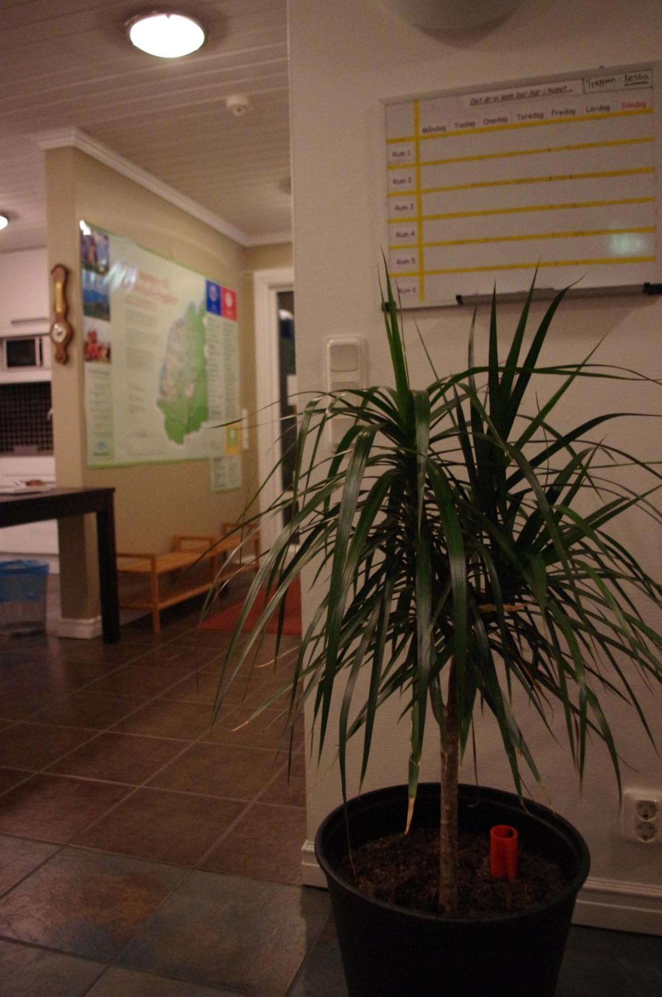 Aeventyrsgardens Vandrarhem, Kinnekulle Källby Exteriér fotografie